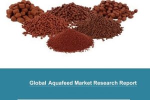 AquaFeed, AquaFeed market, AquaFeed Market 2020, AquaFeed Market insights, AquaFeed market research, AquaFeed market report, AquaFeed Market Research report, AquaFeed Market research study, AquaFeed Industry, AquaFeed Market comprehensive report, AquaFeed Market opportunities, AquaFeed market analysis, AquaFeed market forecast, AquaFeed market strategy, AquaFeed market growth, AquaFeed Market Analysis in Developed Countries, AquaFeed Market by Application, AquaFeed Market by Type, AquaFeed Market Development, AquaFeed Market Evolving Opportunities With Top Industry Experts, AquaFeed Market Forecast to 2025, AquaFeed Market Future Innovation, AquaFeed Market Future Trends, AquaFeed Market Google News, AquaFeed Market Growing Demand and Growth Opportunity, AquaFeed Market in Asia, AquaFeed Market in Australia, AquaFeed Market in Europe, AquaFeed Market in France, AquaFeed Market in Germany, AquaFeed Market in Key Countries, AquaFeed Market in United Kingdom, AquaFeed Market is Booming, AquaFeed Market is Emerging Industry in Developing Countries, AquaFeed Market Latest Report, AquaFeed Market, AquaFeed Market Rising Trends, AquaFeed Market Size in United States, AquaFeed Market SWOT Analysis, AquaFeed Market Updates, AquaFeed Market in United States, AquaFeed Market in Canada, AquaFeed Market in Israel, AquaFeed Market in Korea, AquaFeed Market in Japan, AquaFeed Market Forecast to 2026, AquaFeed Market Forecast to 2027, AquaFeed Market comprehensive analysis, CP Group, Cargill, New Hope Group, Purina Animal Nutrition, Wen’s Food Group, BRF, Tyson Foods, East Hope Group, JA Zen-Noh, Twins Group, ForFarmers, Nutreco, Haid Group, NACF, Tongwei Group, Yuetai Group, TRS